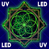 Flower of Life - UV Green- LED Flow Star