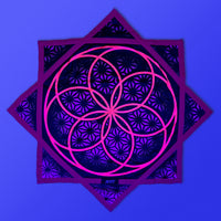 Flower of Life - UV Pink- Flow Star